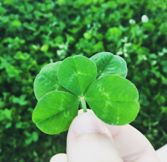 Meet your Posher, Jillian - Picture 1 of 1